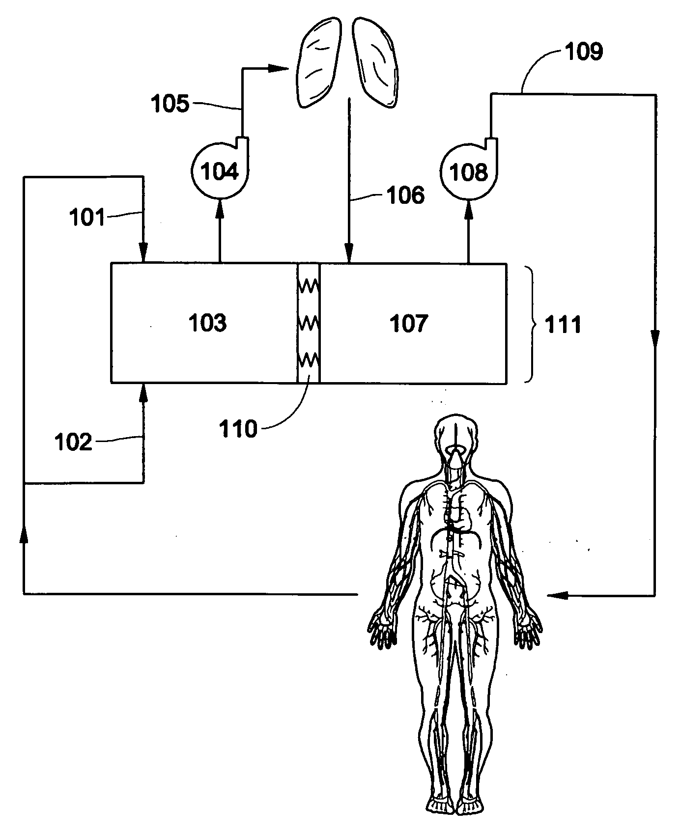 Total artificial heart system for auto-regulating flow and pressure balance