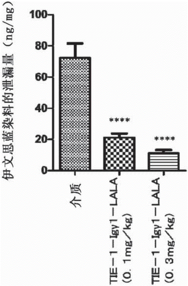 Novel anti-human Tie2 antibody