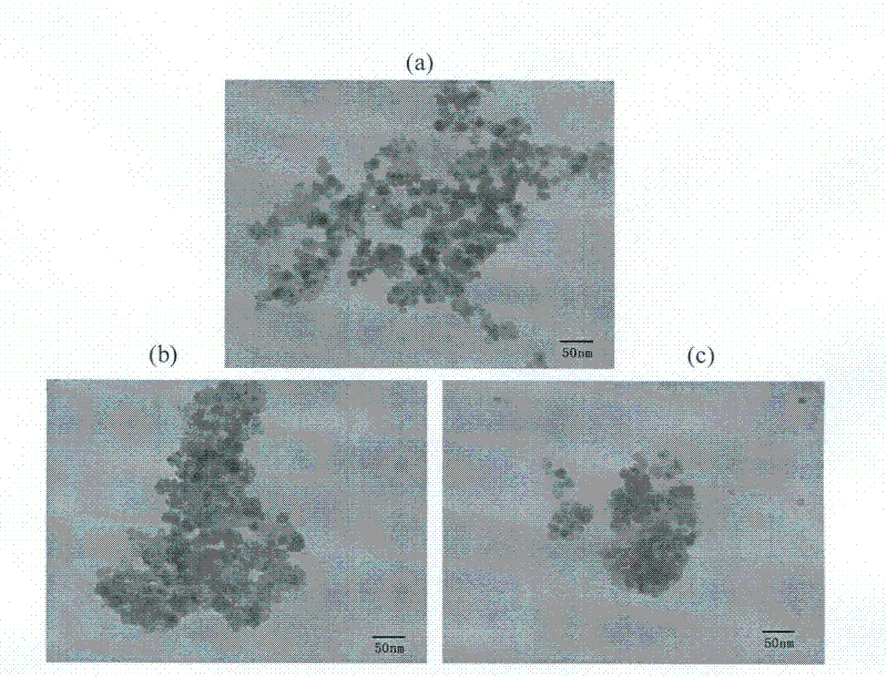 Cyclodextrin/Fe3O4 magnetic nano composite and medicinal inclusion compound thereof