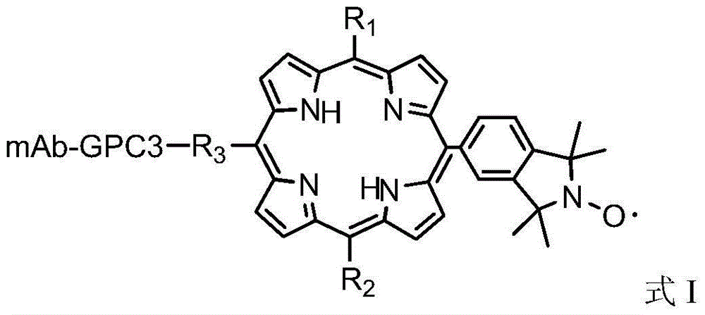 Antibody labeled porphyrin iso-indole free radical compound and synthetic method thereof