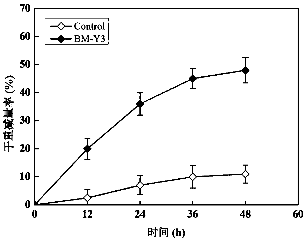 Ecological toilet treatment strain and application thereof