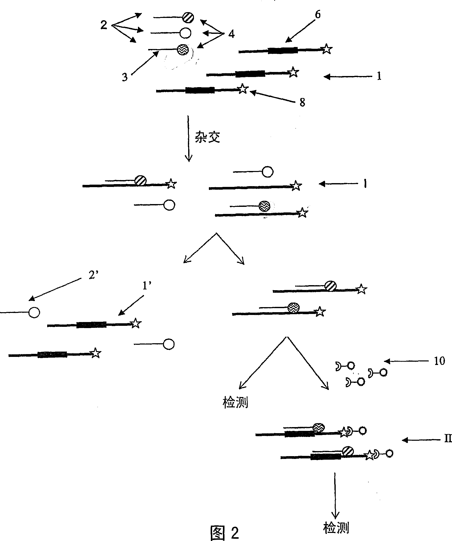 Method and kit for primer based amplification of nucleic acids