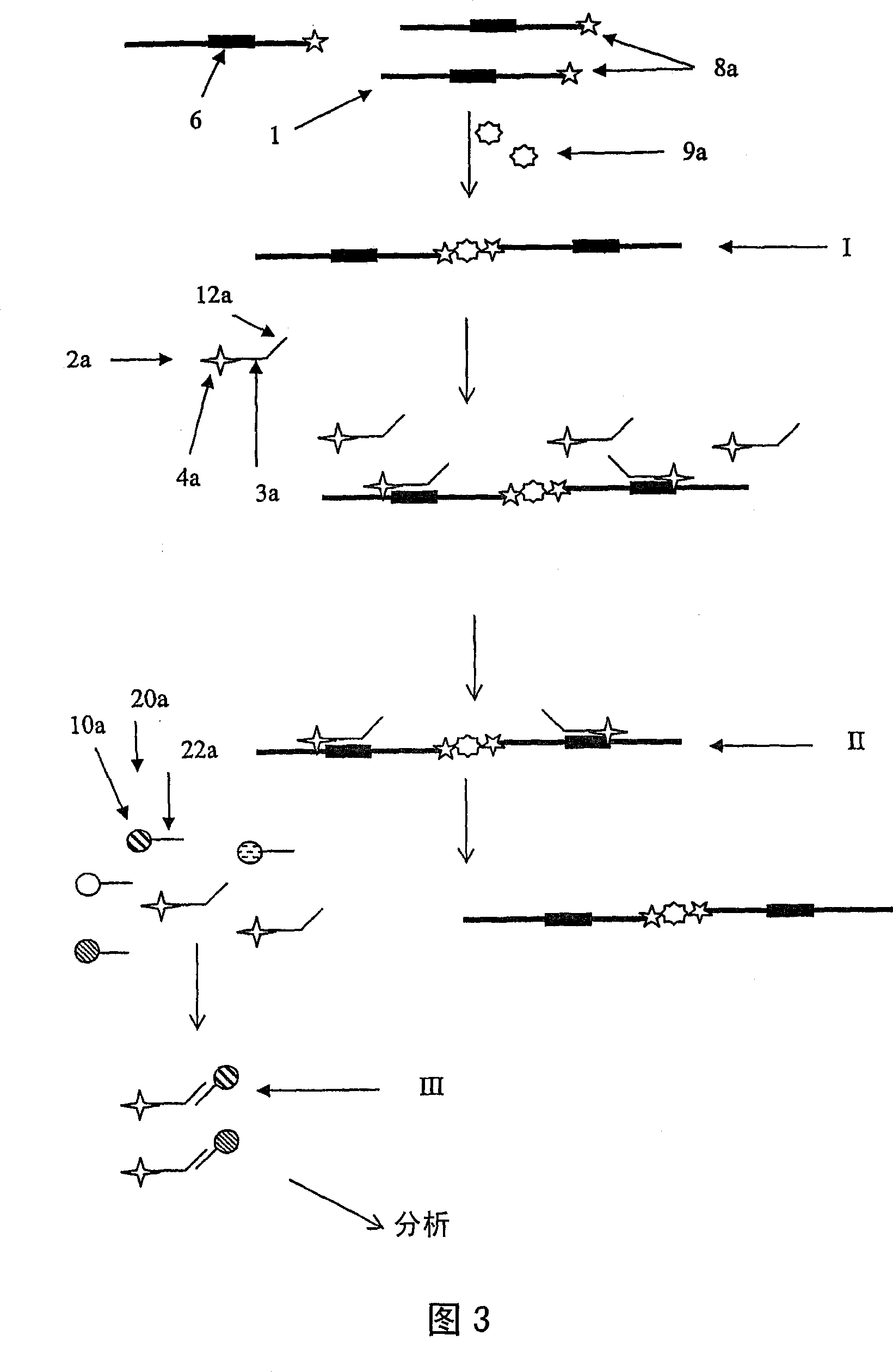 Method and kit for primer based amplification of nucleic acids
