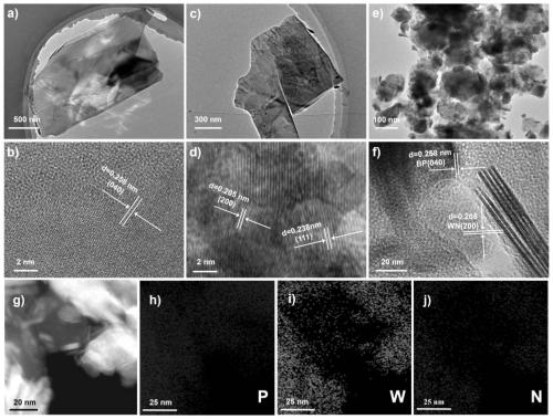 Black phosphorus loaded tungsten nitride nanosheet photocatalyst as well as preparation method and application thereof