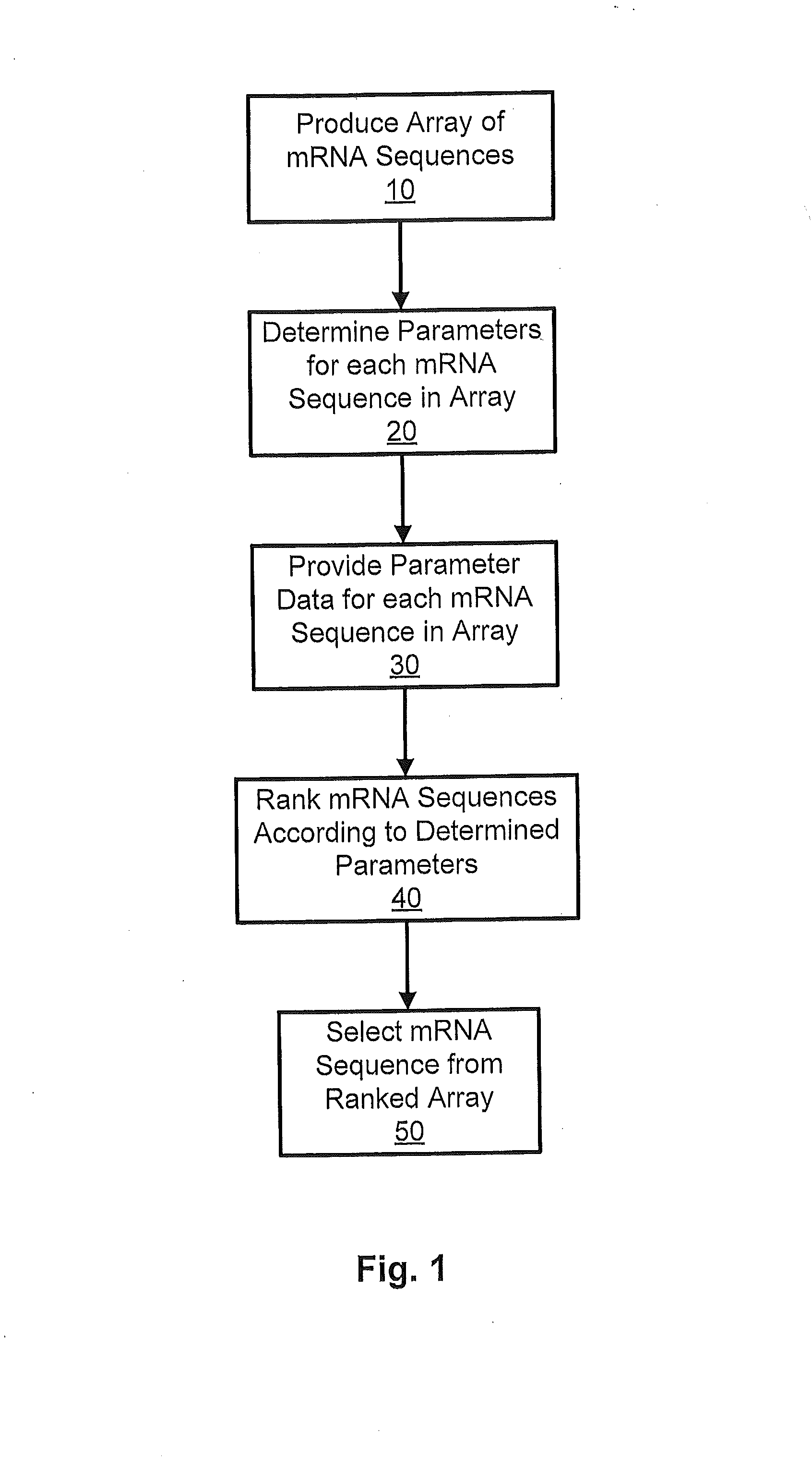 Compositions and Methods for Protein Production