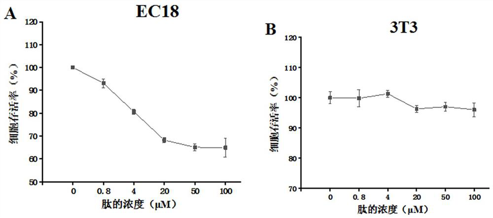 Non-natural amino acid short peptide and application thereof in tumor resistance