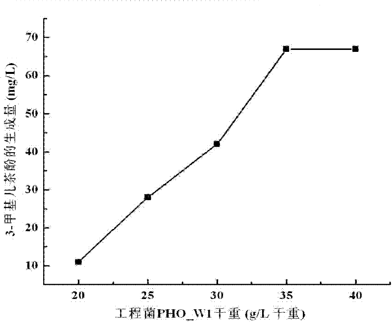 Process for multistep directional o-cresol conversion with biological method