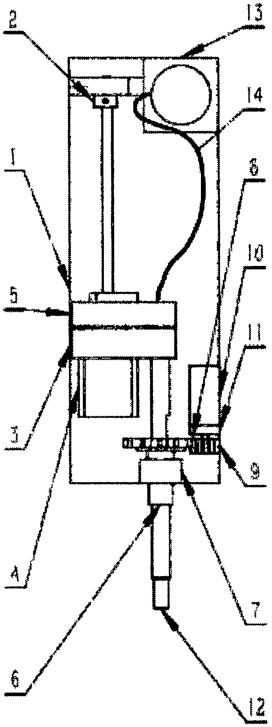 Multifunctional sample processing device