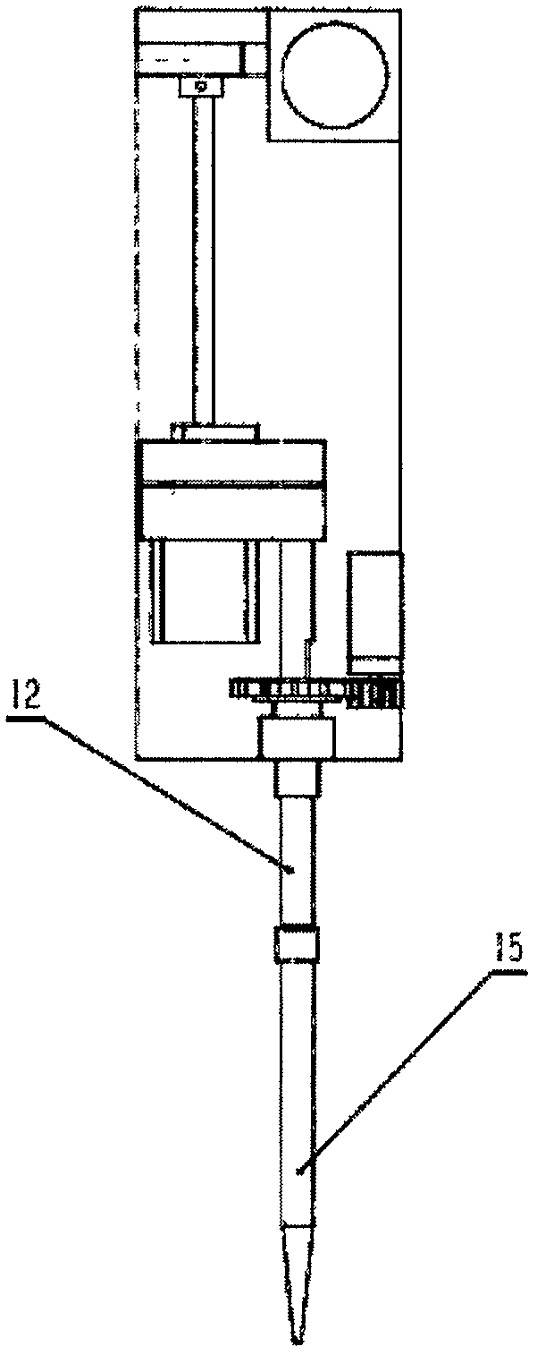 Multifunctional sample processing device