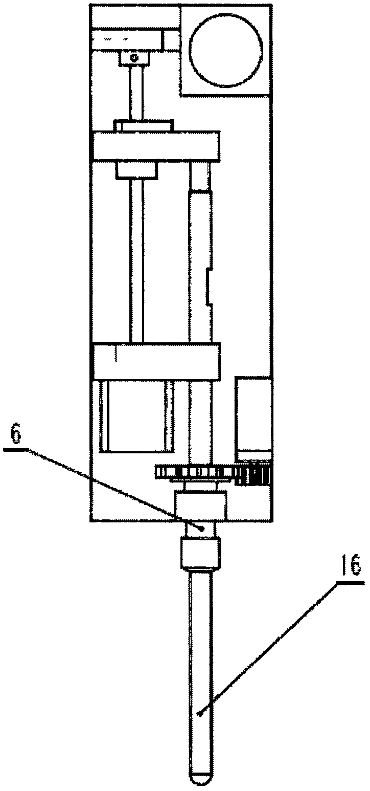 Multifunctional sample processing device