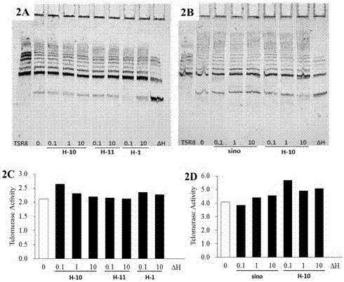 Preparation and medical application of binary structure sinomenine derivatives