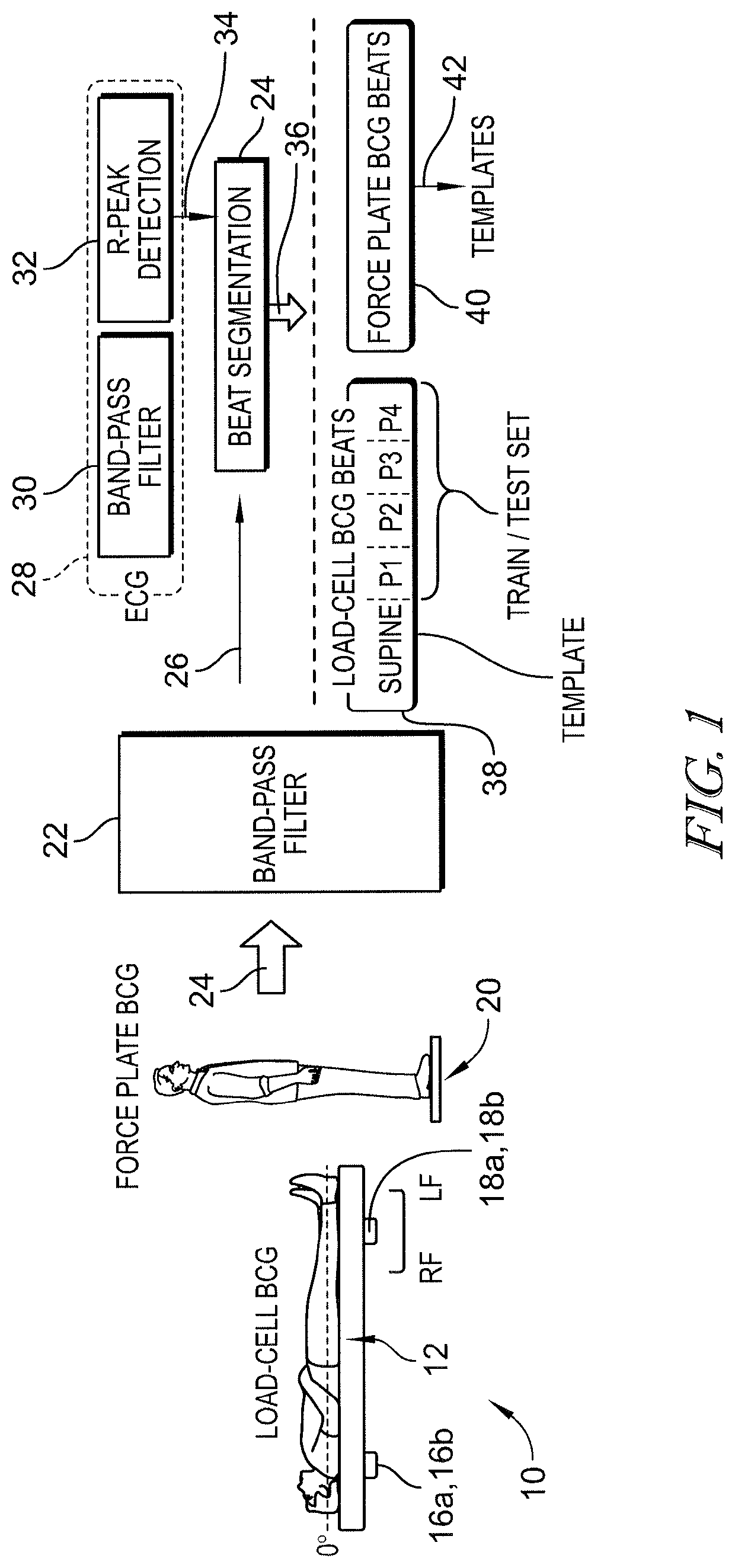 Bed-based ballistocardiogram apparatus and method