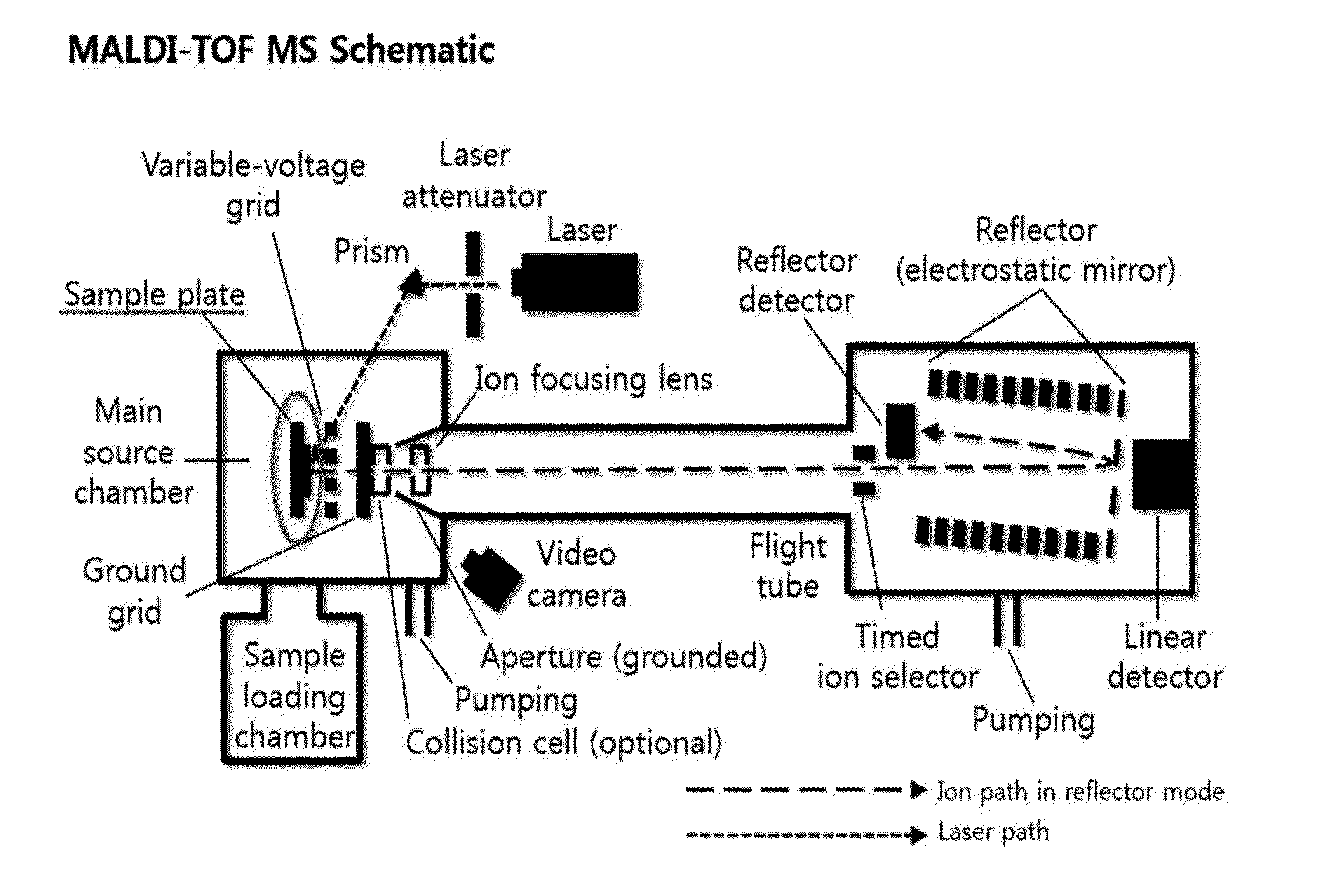 Sample Plate Using MALDI-TOF Mass Spectrometer and Manufacturing Method of the Sample Plate