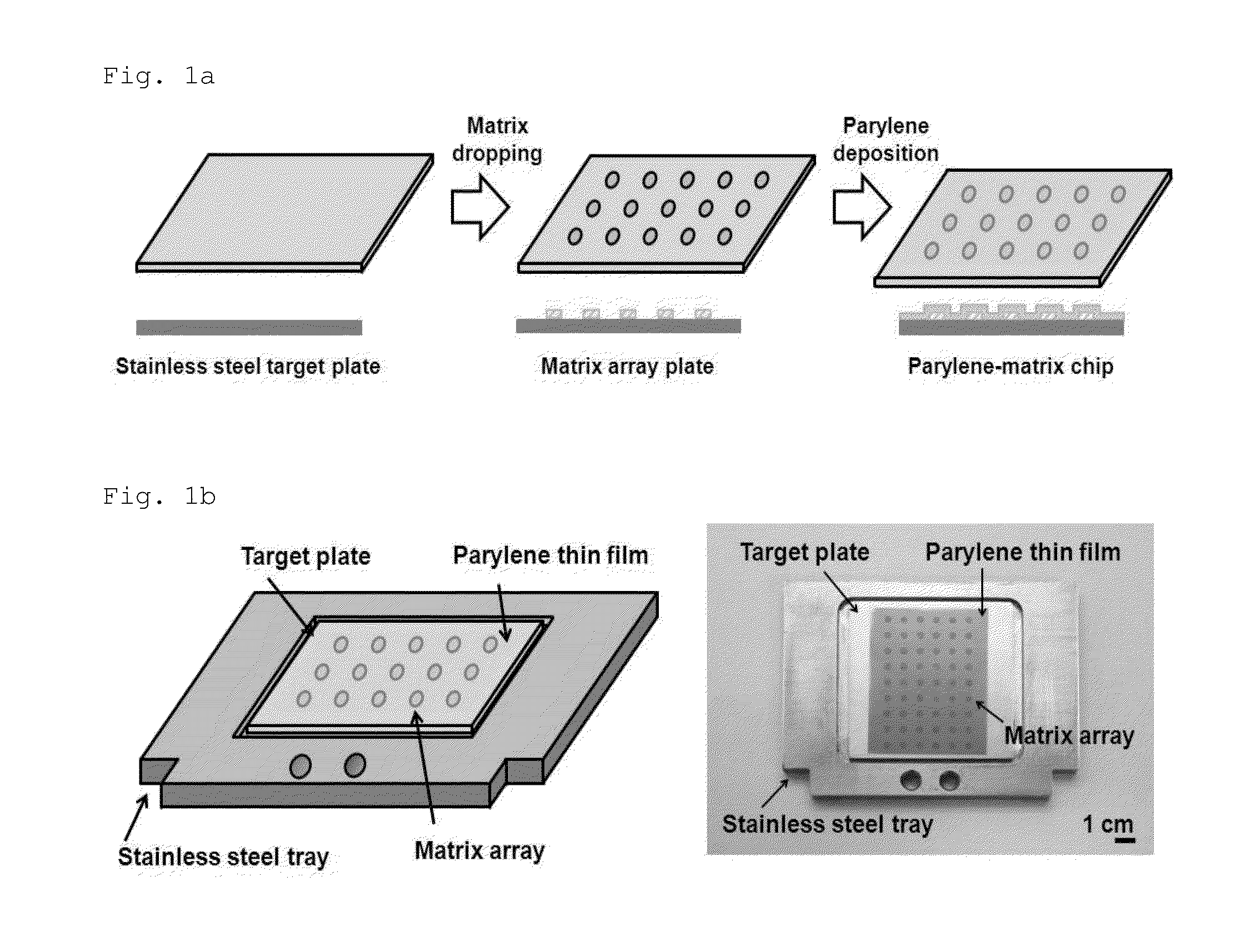 Sample Plate Using MALDI-TOF Mass Spectrometer and Manufacturing Method of the Sample Plate