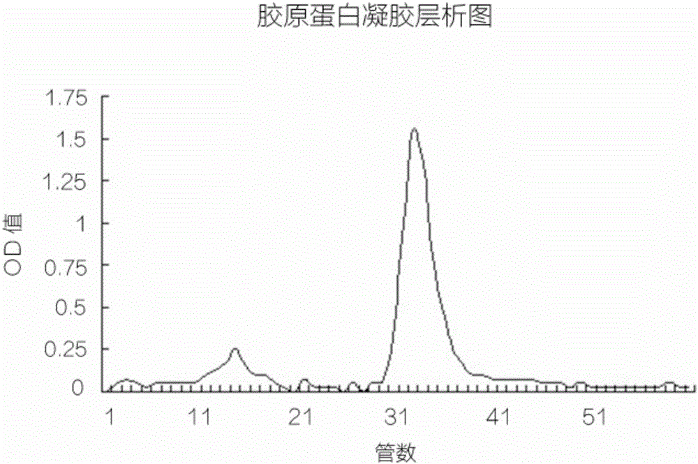 A bioactive high-purity collagen sponge and its preparation method