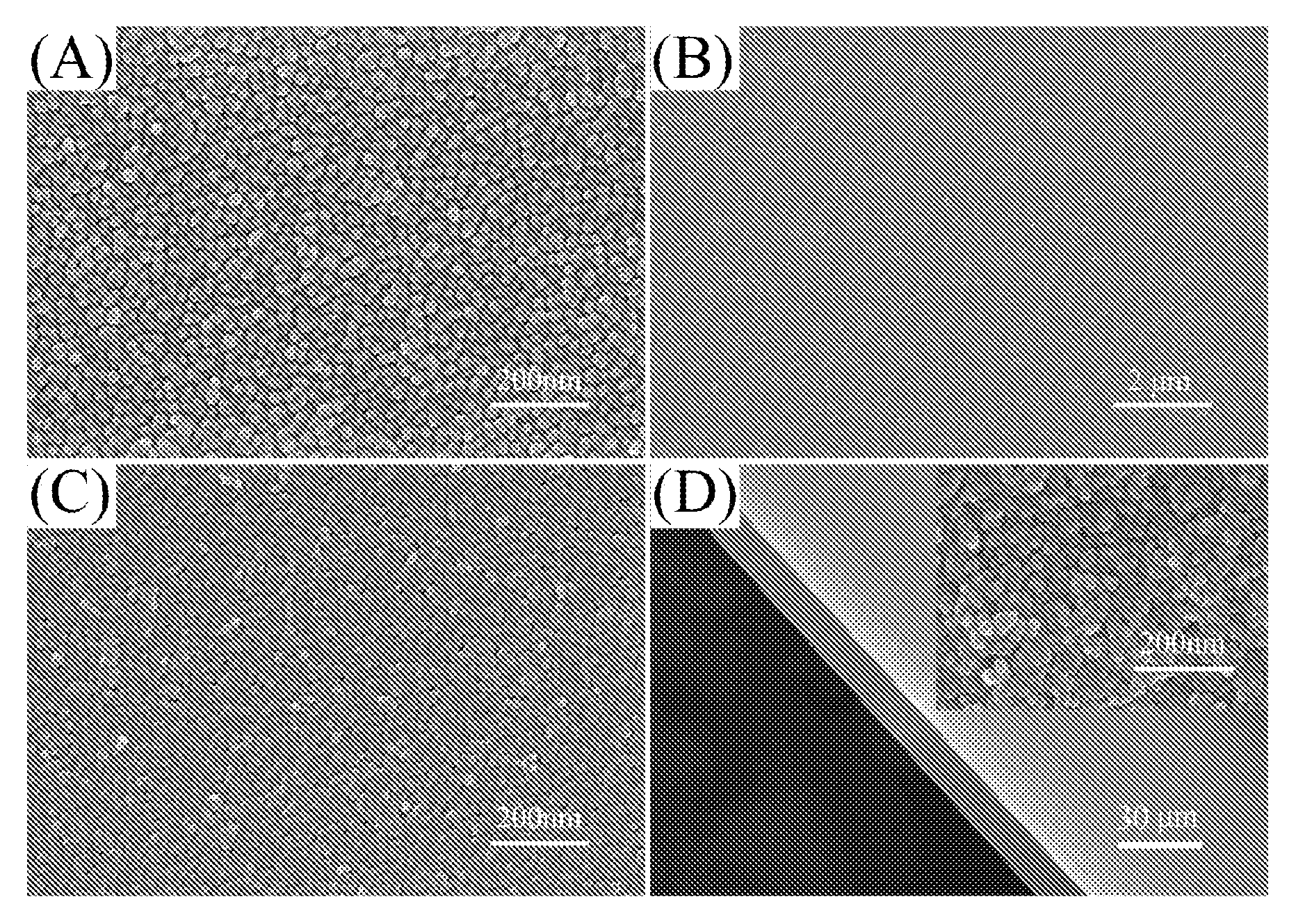 Method for preparing a large continuous oriented nanostructured mixed metal oxide film