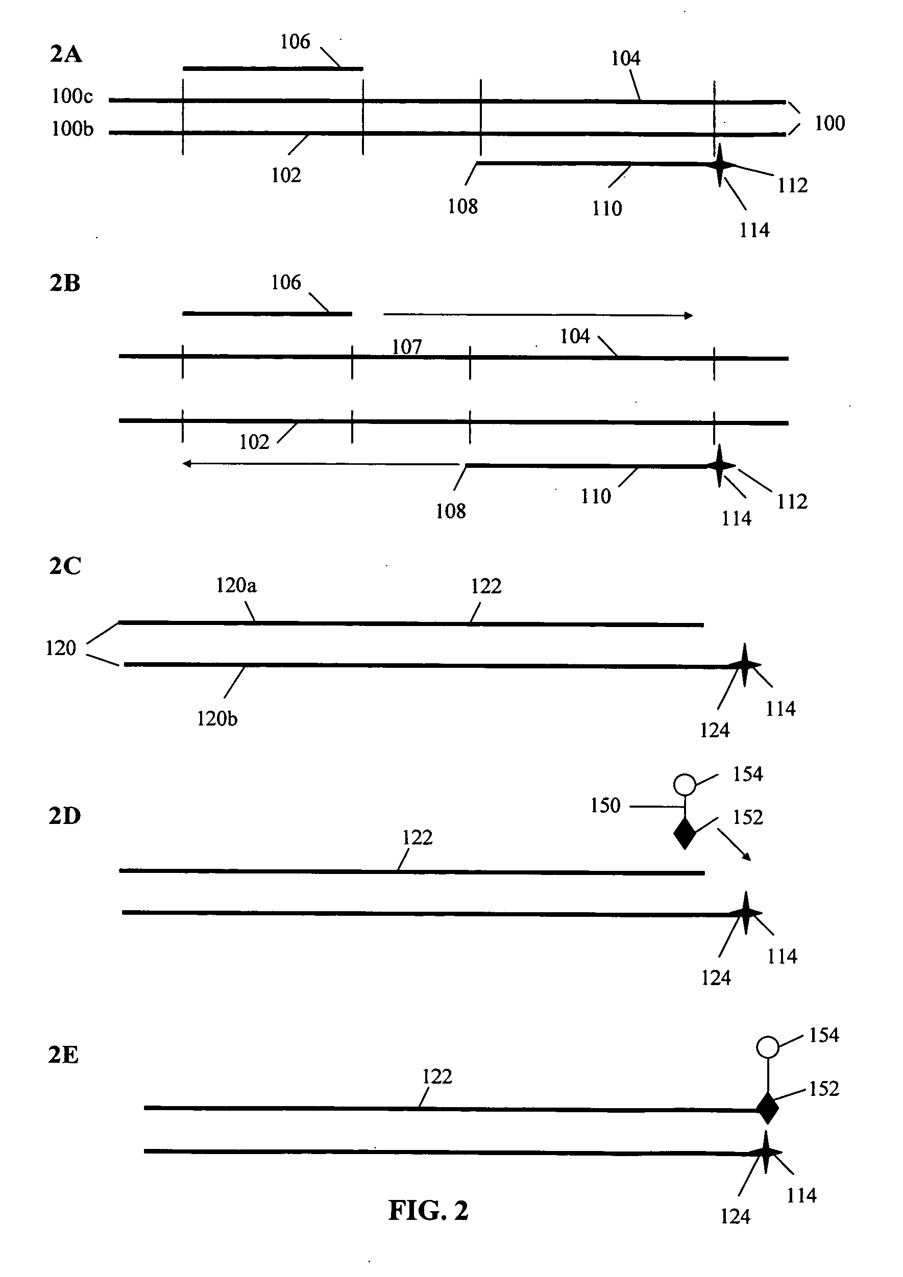 Materials and methods for detection of nucleic acids