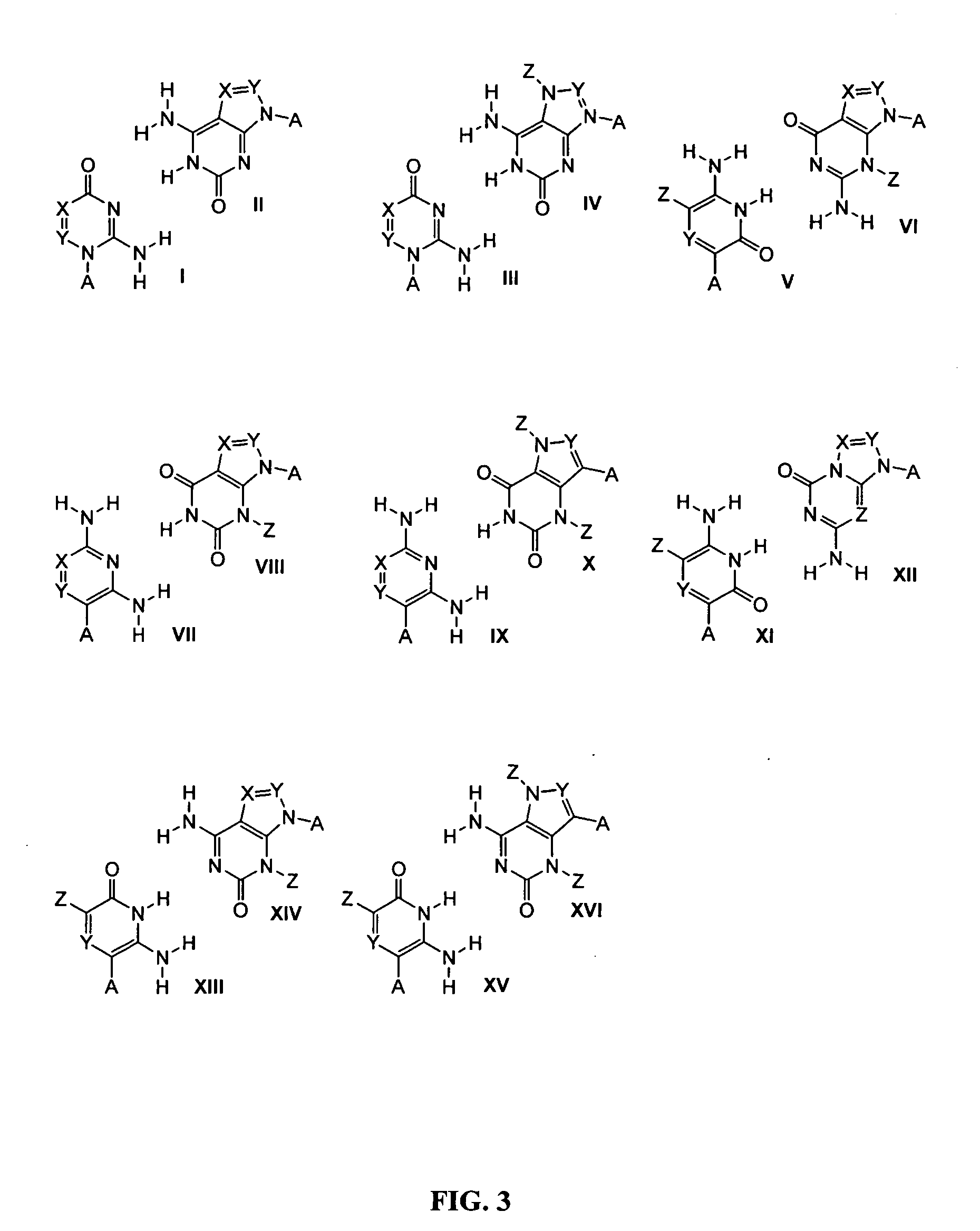 Materials and methods for detection of nucleic acids