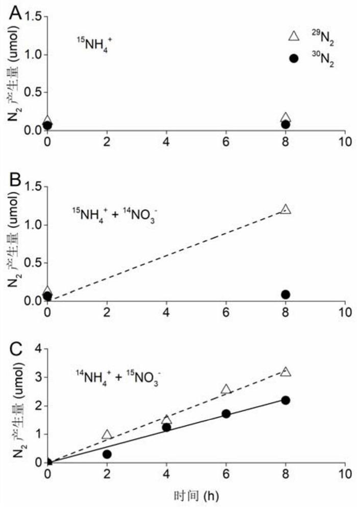 A method for identification and quantification of anaerobic iron-ammonia oxidation pathway in reservoir sediment