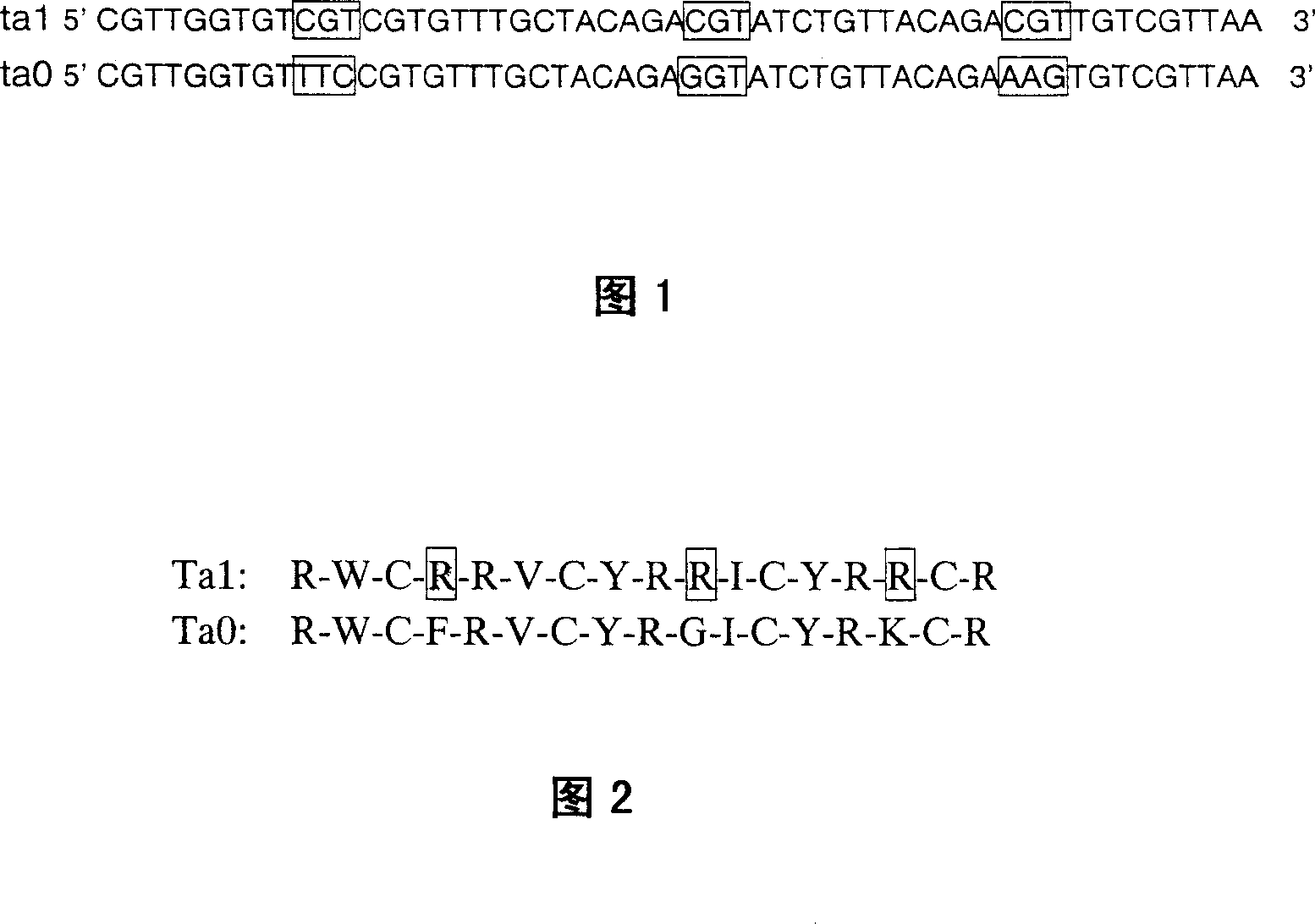 Method of improving king crab element gene with higher antibacterial activity and high effect expression