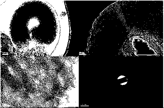 Preparation method of ordered mesoporous non-noble-metal-nitrogen-graphitized carbon material