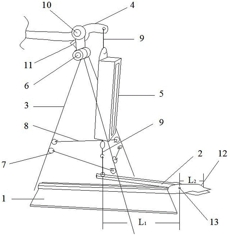 Measuring device and measuring method for tension of bivalve adductor muscle