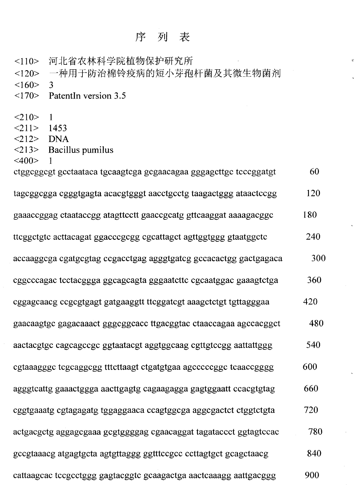Bacillus pumilus for controlling cottonbollblight and microorganism bacterium agent thereof