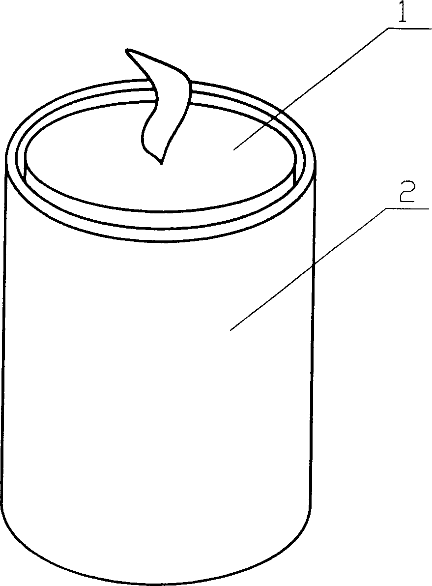 Fly expelling candle and preparing method