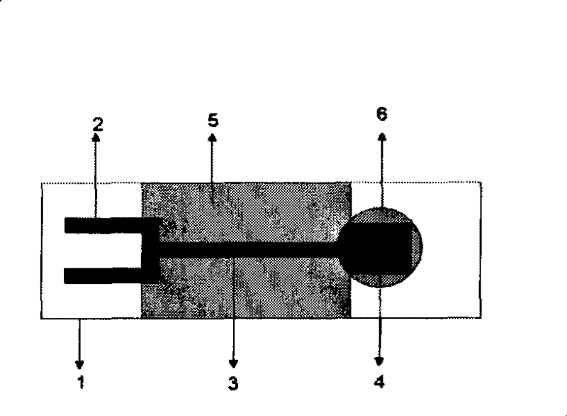 Sensing electrode for detecting chloramphenicol and method for producing molecular imprinting film thereof