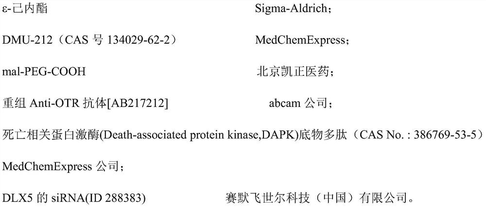 Placenta focus specific drug distribution and delivery system as well as preparation method and application thereof