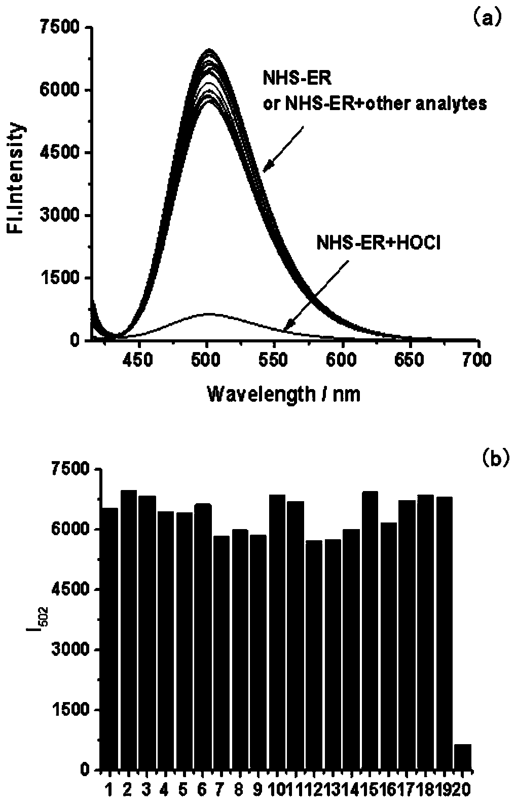 A two-photon fluorescent probe for the detection of hypochlorous acid in the endoplasmic reticulum