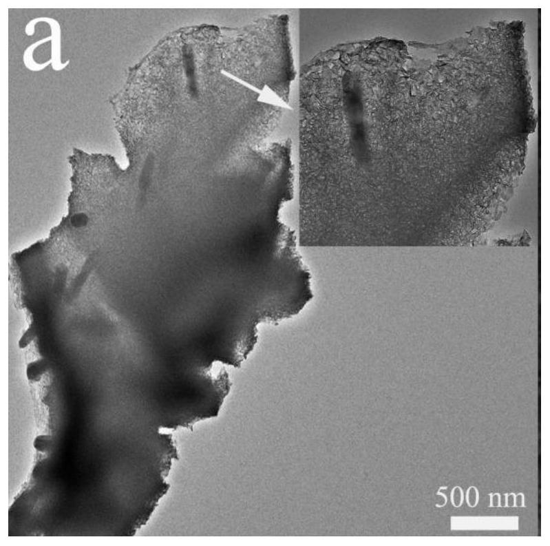 Preparation method of flaky tungsten sulfide/tungsten phosphide/carbon catalytic material