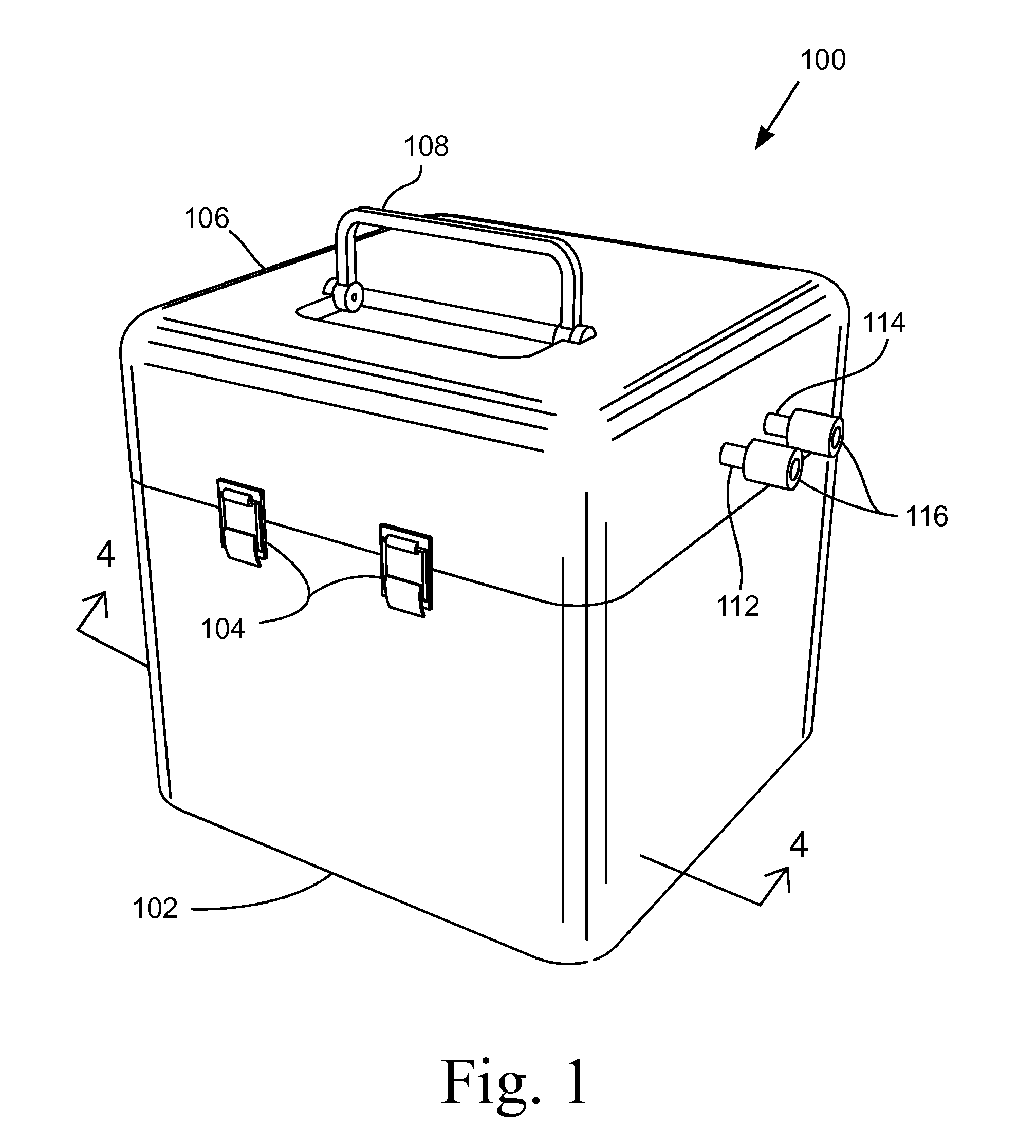 Portable coolant system