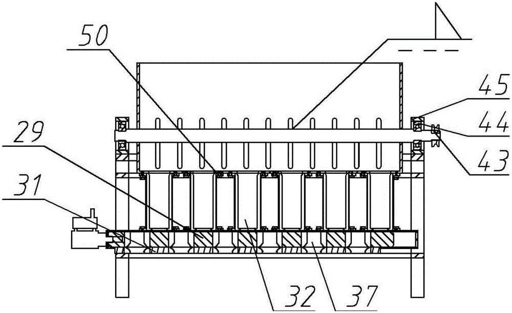 Chestnut sheller with positioned conveying and usage thereof