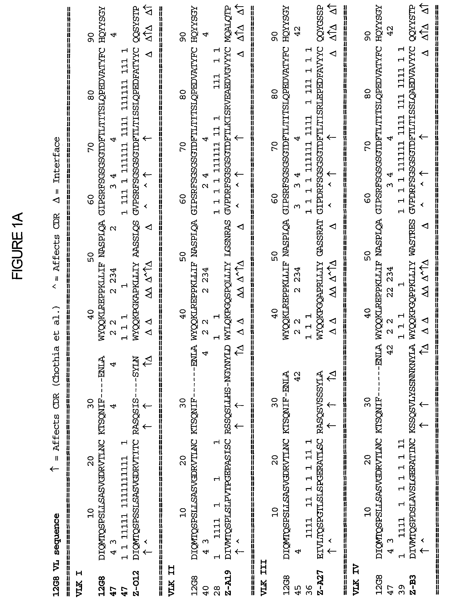 Interleukin-10 antibodies