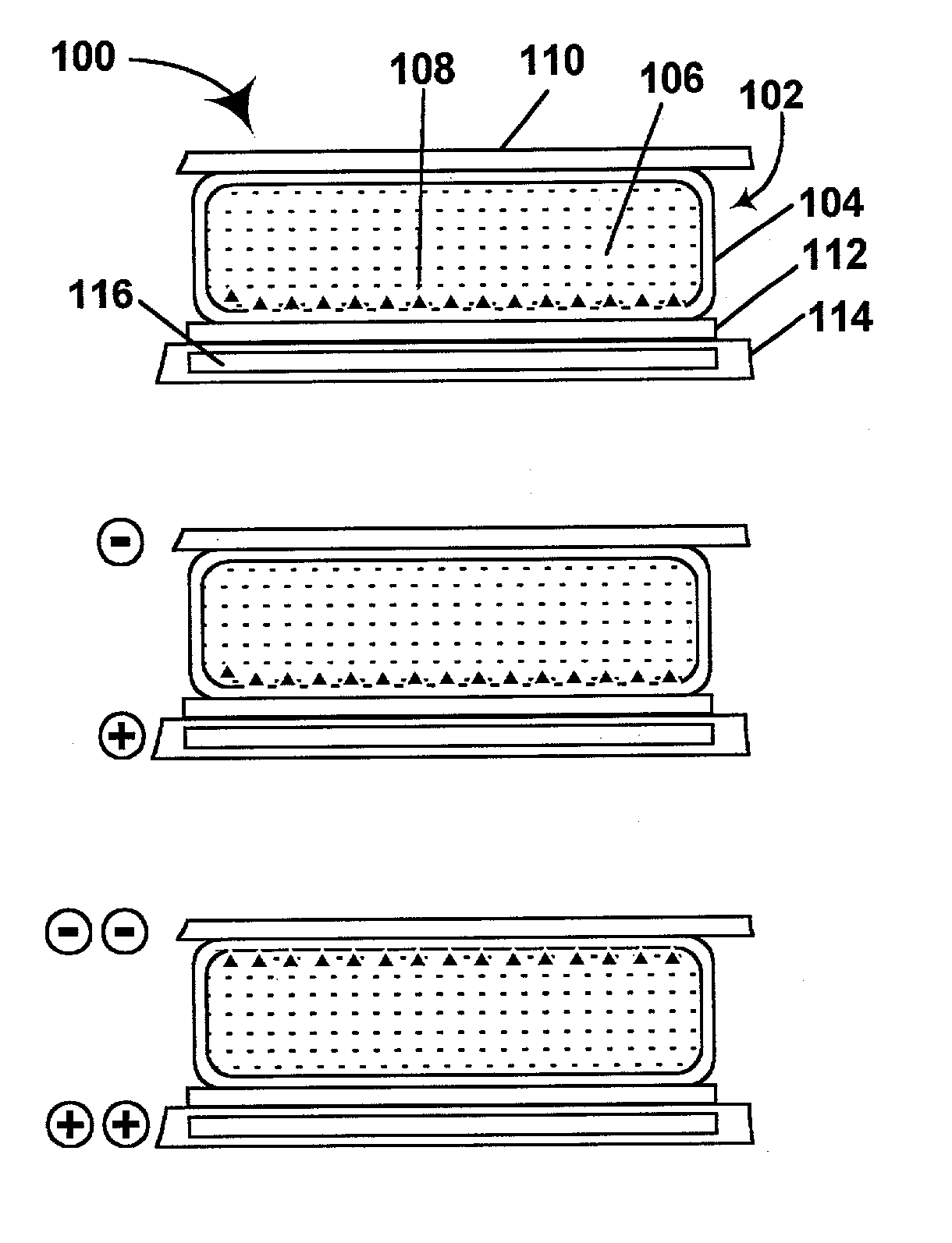 Electrophoretic displays containing magnetic particles