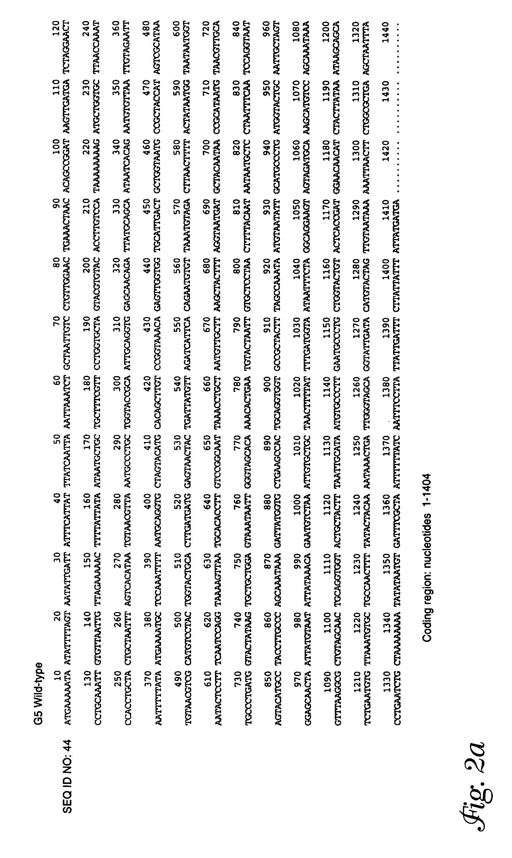 Diagnostic and protective antigen gene sequences of ichthyophthirius