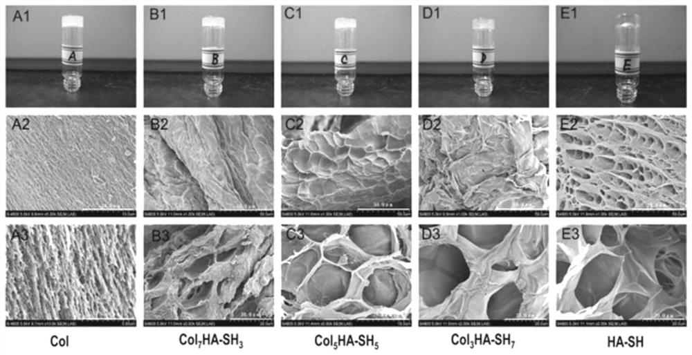 Controllable self-crosslinking thiolated hyaluronic acid-collagen composite hydrogel and its preparation method and application