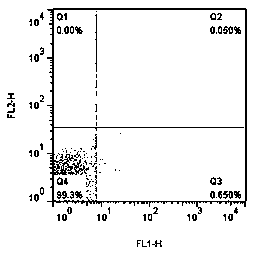 Specific probe and method thereof for rapid and sensitive quantification of staphylococcus aureus