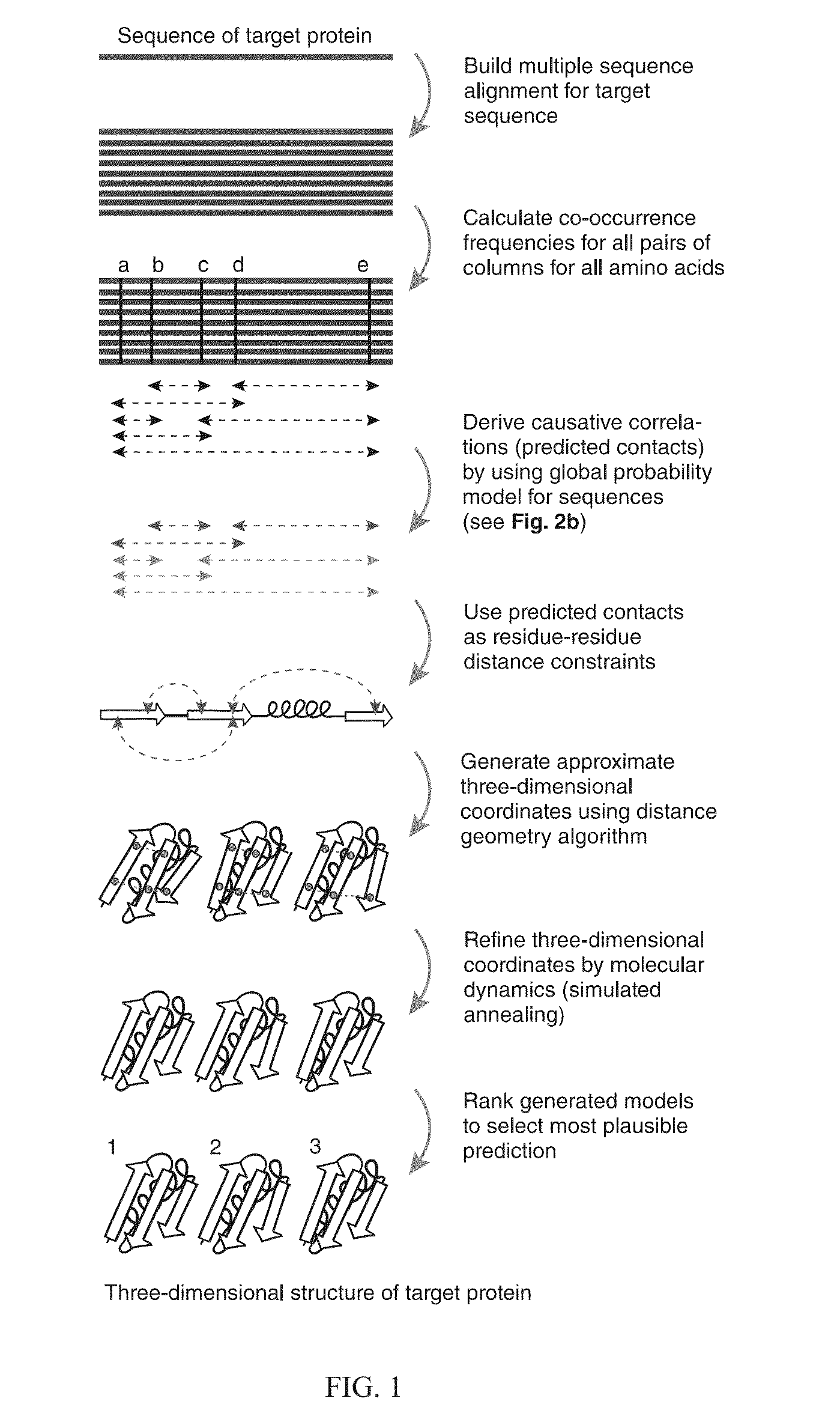 Methods and apparatus for predicting protein structure