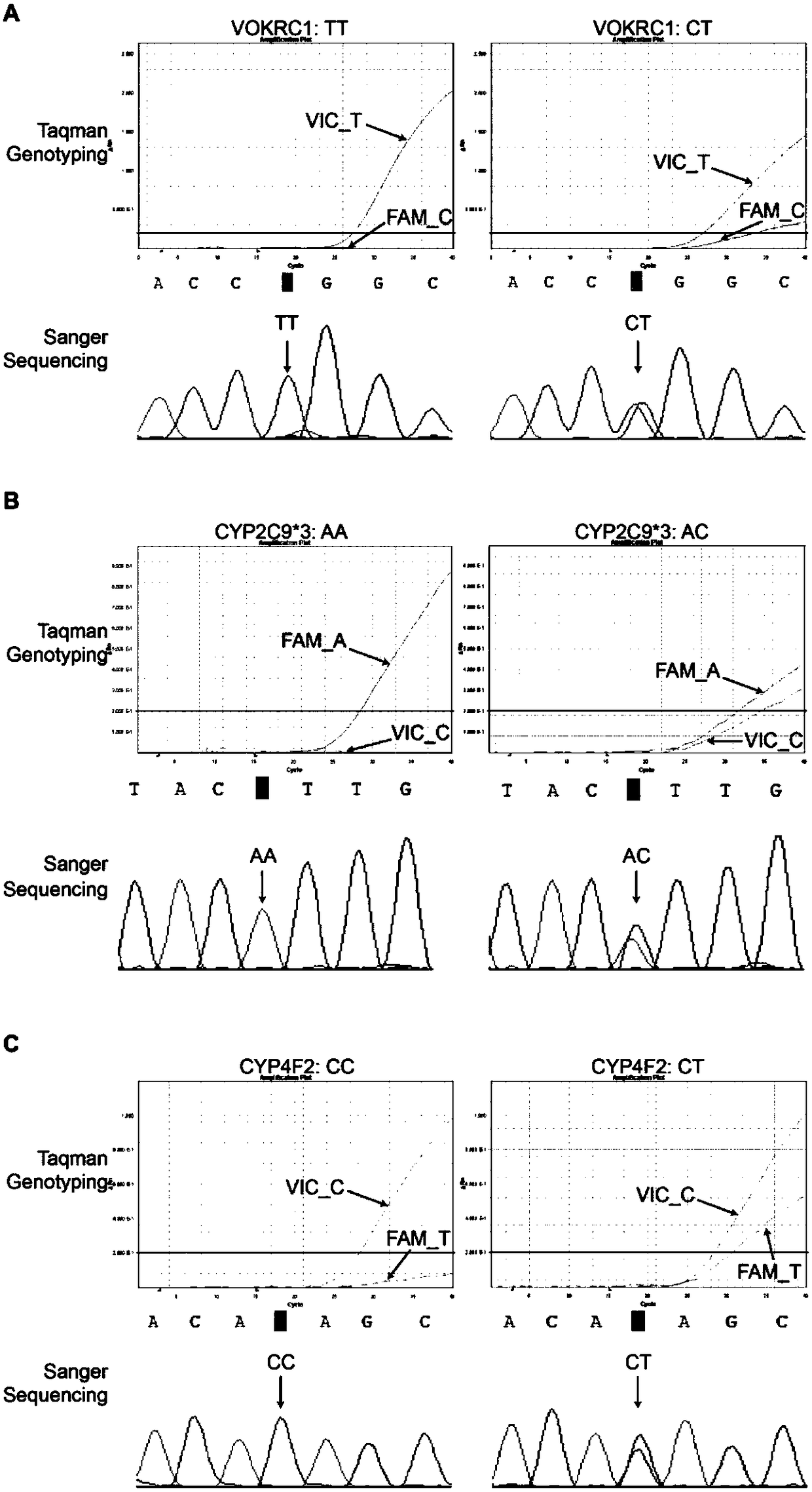 A primer probe combination and kit for detecting genotyping related to warfarin medication