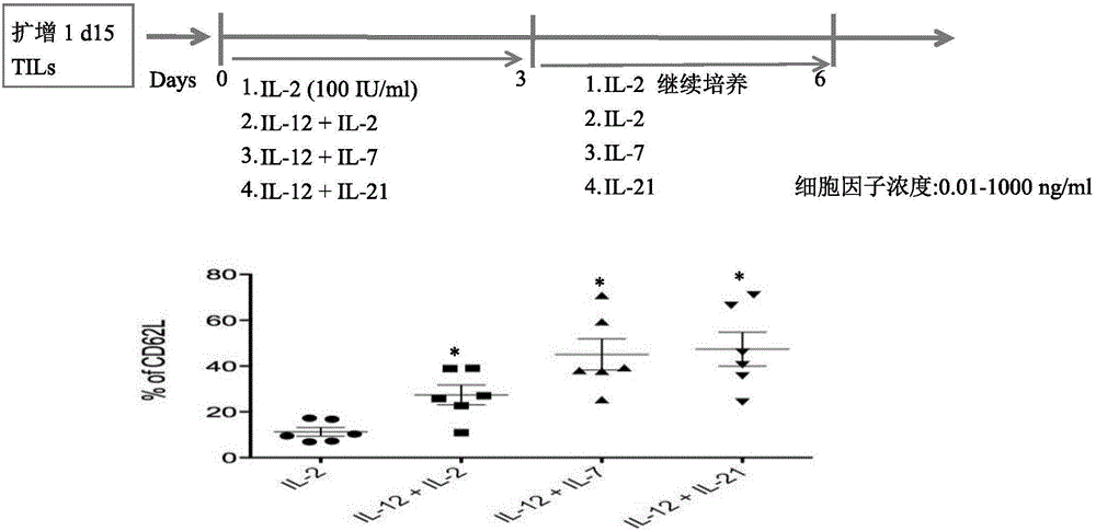 Method for reversing failure of anti-tumor infiltrating lymphocytes and application of method