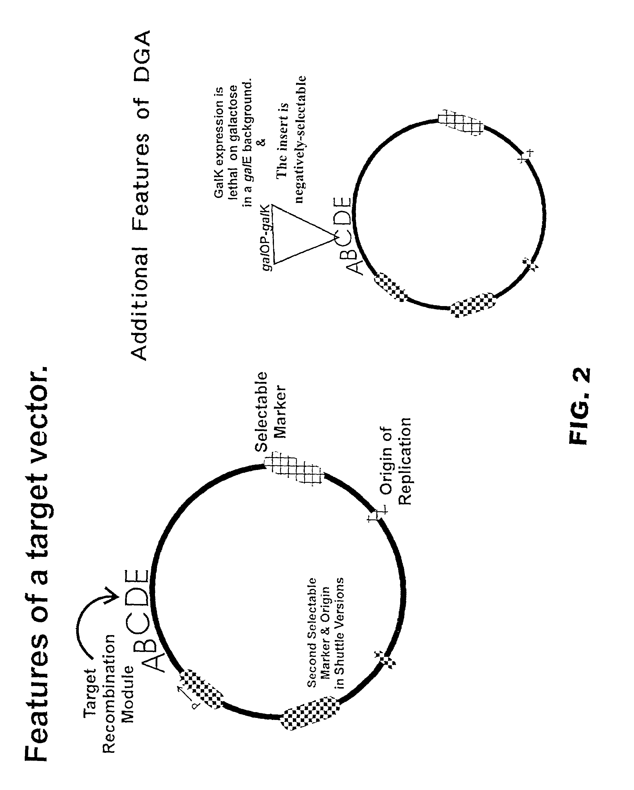 Methods and compositions for directed gene assembly