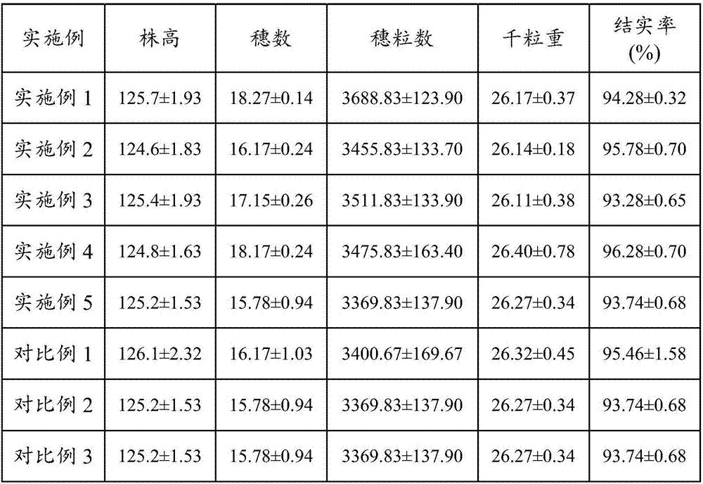 Application of 24-epicastasterone in reduction of cadmium accumulation in paddy rice body