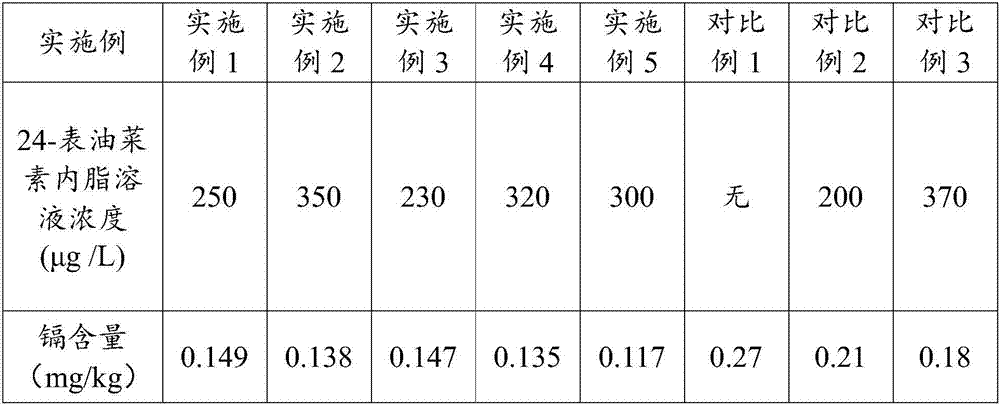 Application of 24-epicastasterone in reduction of cadmium accumulation in paddy rice body