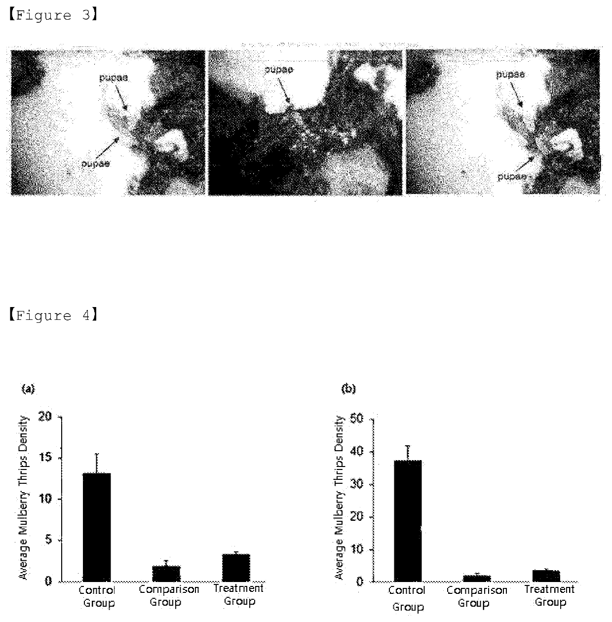 Microbial insecticide for control of mulberry thrips