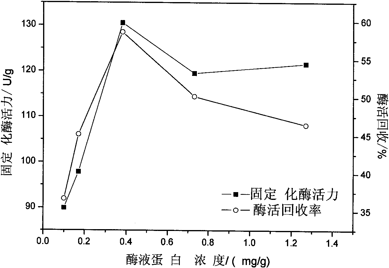 Mesoporous titanium dioxide immobilized enzyme and preparation method and application thereof