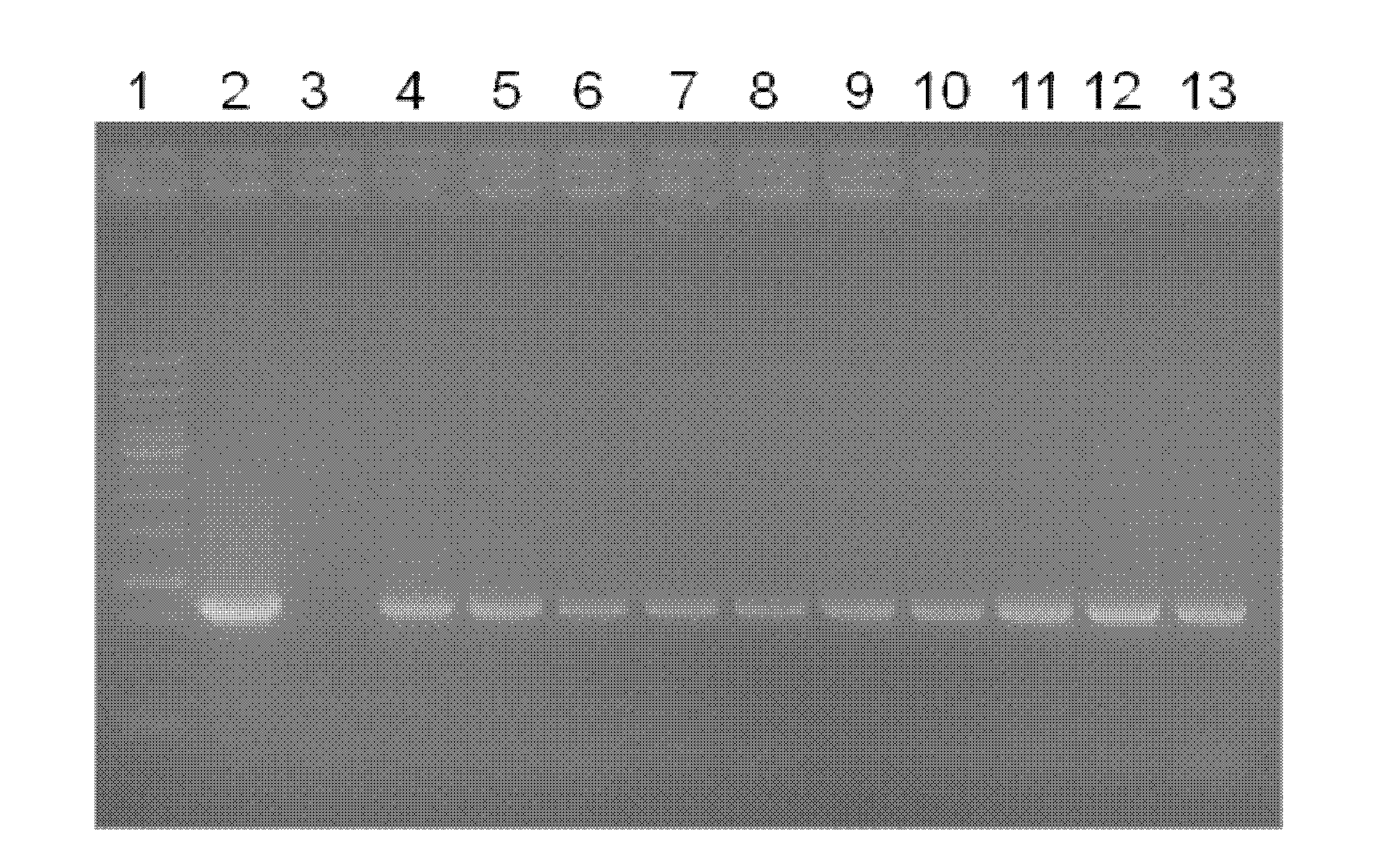 Plant dwarfing related protein GA2ox, and encoding gene and application thereof