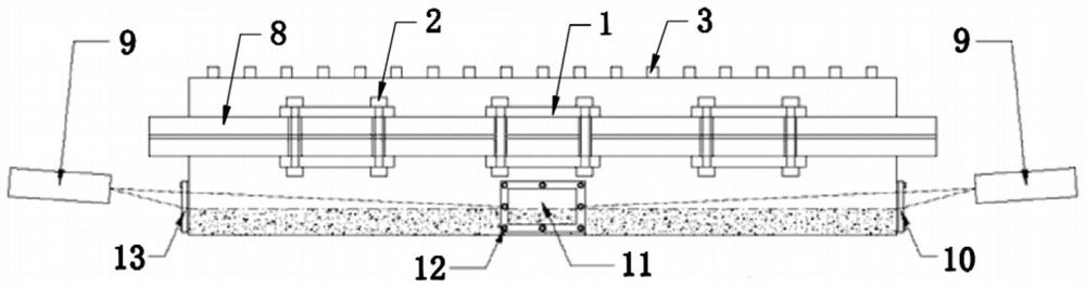 Visual line source crucible device and material monitoring method thereof