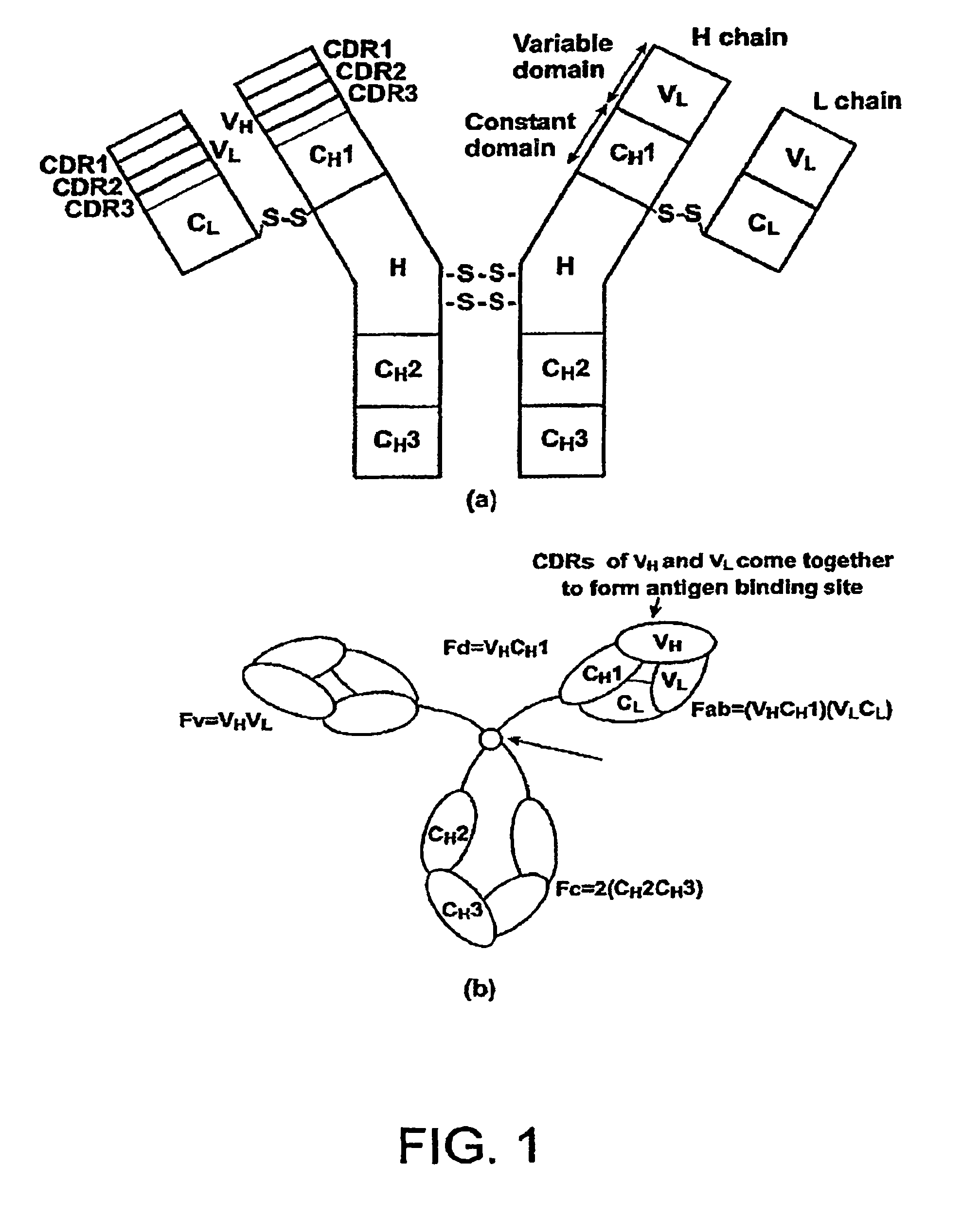 Single-domain antigen-binding antibody fragments derived from llama antibodies